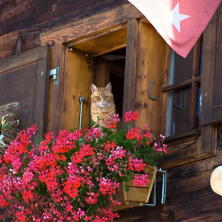 Chalet Xenia Alpesi faház Crans-Montana